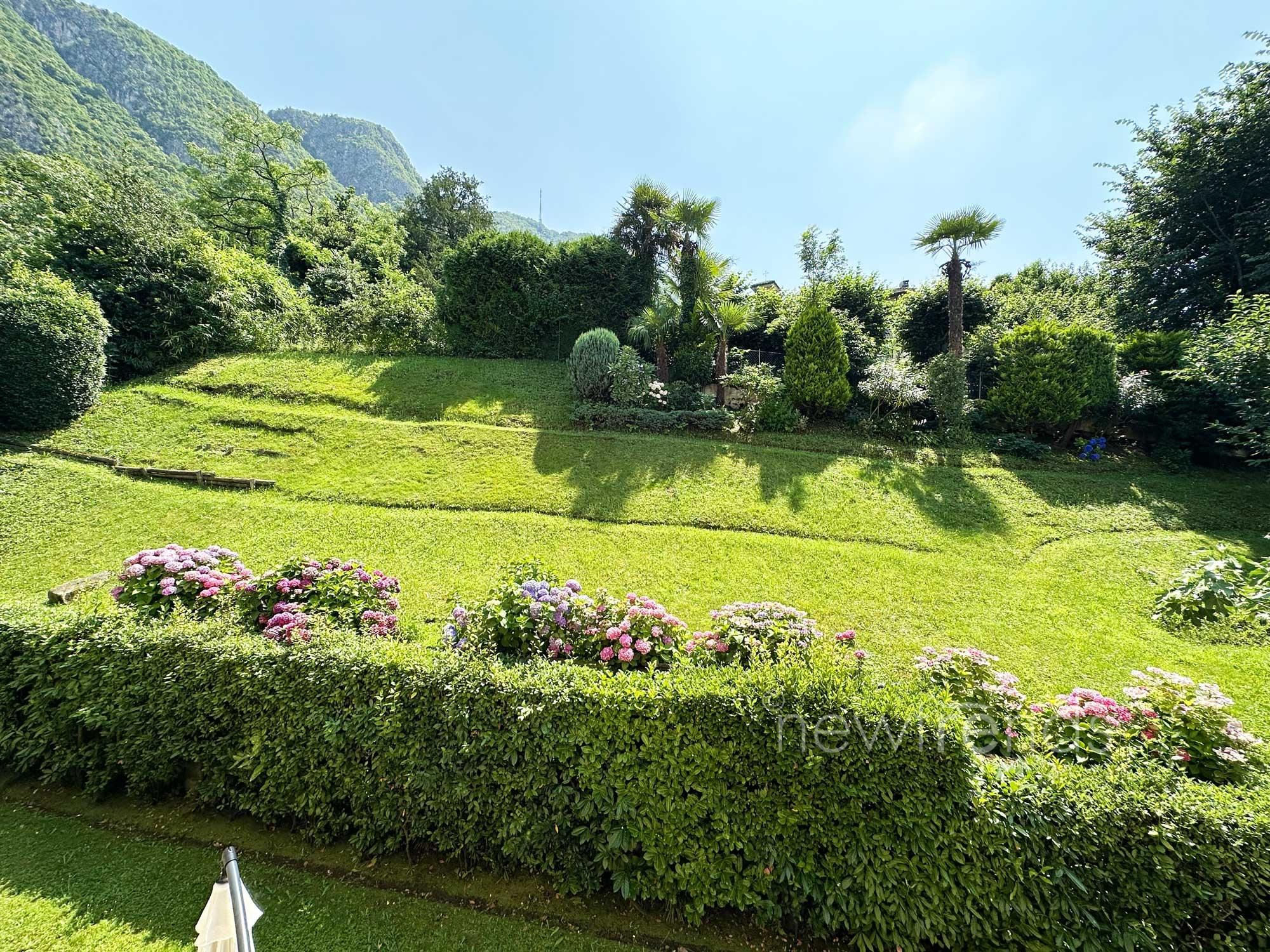 affittasi appartamento 3.5 locali con vista nel verde e scorcio di lago a pazzallo: foto vista sul verde circostante